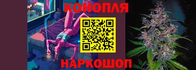 шишки Донской
