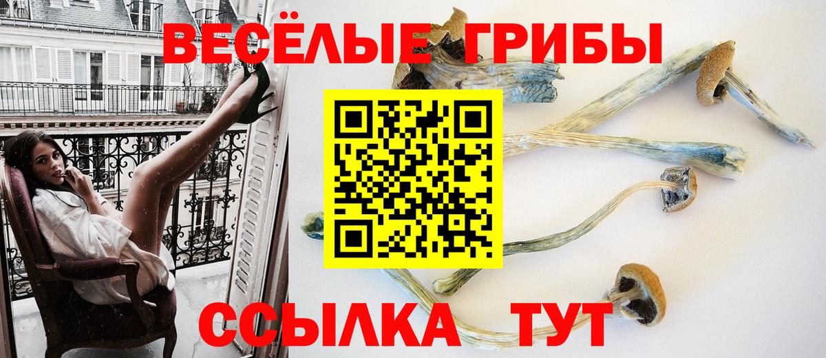 Псилоцибиновые грибы ЛСД  Галлюциногенные грибы MAGIC MUSHROOMS  Курчатов  Вход с VPN 